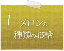 メロンの種類のお話